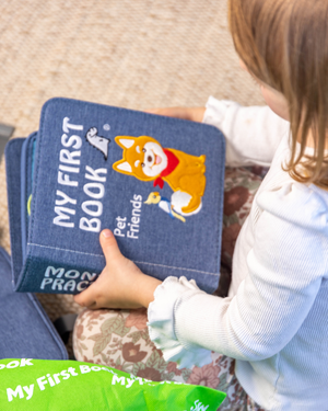 The Teacher's Guide: Implementing Busy Books in Early Childhood Classrooms
