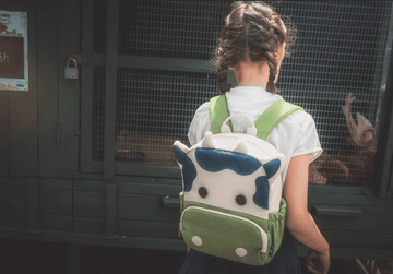 Sweet Dreams and Smart Development: How Bedtime Busy Books Enhance Sleep Quality and Brain Development